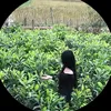 diu.linh2577