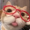 meowmelin