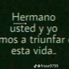 wilfrdoalvarado