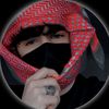 bohamdi2