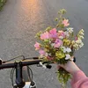 hello__nora
