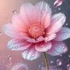 siti.noor853
