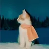 iqqcleoz_02