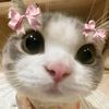 myboy_growrieu3