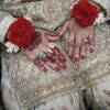 anaya.arain81