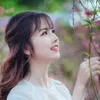 gaixinhvn2745
