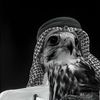 zayd0913