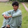 user199412740