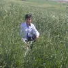 user74417381772826