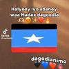 ahmed.nuur309
