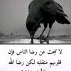 user7690307171374