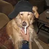 loserbutchrio