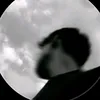 qwertyre343