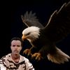 artaz_____toubawi_2
