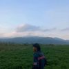 dedekissdekk07