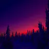 yoits_michael58