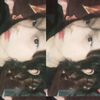 la_ng91