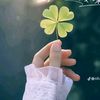 user190183570