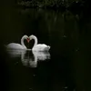 rahmaahmad9807