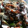 hounongan.frdric