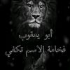 user5817727147685