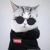 supercat590
