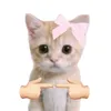 CatsPlain