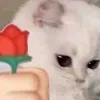 chucemhanhphich