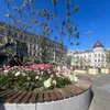 agnesdanielsson32