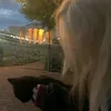 sowingheartmia