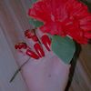 nisha.queen601