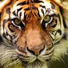 mohammed.elmasry569