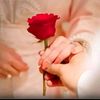 user710857058665