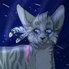 fanwarriorcats5