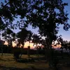 rainraina1