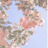 katie_i_see