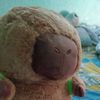 camilaguadalupe102737