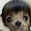 euuu.samyaa