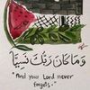 user7440238720518
