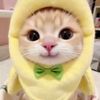 urfavnaw7