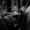 yarasirwan52