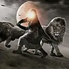 user6201900149247