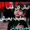user8585391276509