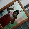 chachachathip