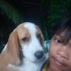 user9017819042068
