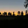 arihaanv