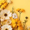 .flower293
