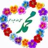 mohammad.rafique71
