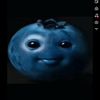 def.notellas_spam