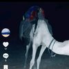 user816728861111168